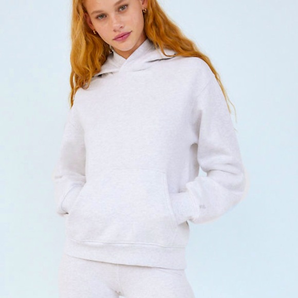 TNA Tops - Aritzia Gray Hoodie